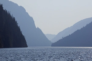 Images Dated 15th August 2010: USA, Alaska, Misty Fjords National Park