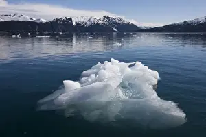 Ice Berg Prints: USA, Alaska, Morning sun lights iceberg floating near Blackstone Glacier in Prince