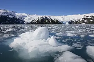 Images Dated 21st June 2008: USA, Alaska, Morning sun lights icebergs floating near Blackstone Glacier in Prince