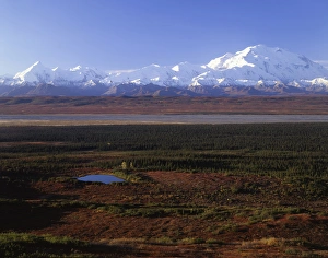 Images Dated 29th December 2011: USA, Alaska, Mount McKinley, Fall, Denali National Park