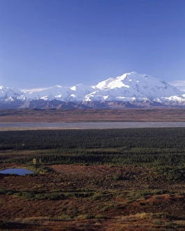 Images Dated 29th December 2011: USA, Alaska, Mount McKinley, Fall, Denali National Park