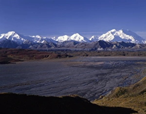 Images Dated 29th December 2011: USA, Alaska, Mount McKinley, Fall, Denali National Park