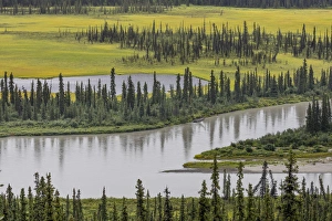 Rainy Prints: USA, Alaska, Nenana River Valley. Landscape of valley, river, and pond. Credit as