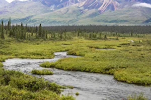USA, Alaska, Nenana River Valley. Landscape with Seattle Creek