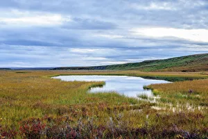 Images Dated 19th October 2022: USA, Alaska, Noatak National Preserve. Wetlands in the arctic tundra