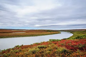 Images Dated 19th October 2022: USA, Alaska, Noatak National Preserve. Autumn colors along the Noatak River