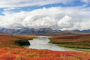 Images Dated 19th October 2022: USA, Alaska, Noatak National Preserve
