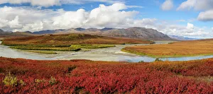 Images Dated 19th October 2022: USA, Alaska, Noatak National Preserve