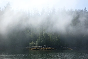 Images Dated 17th August 2010: USA, Alaska, outside of Ketchikan in Southeast