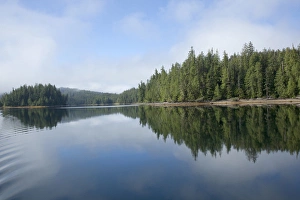 Savanah Stewart Prints: USA, Alaska, outside of Ketchikan in Southeast