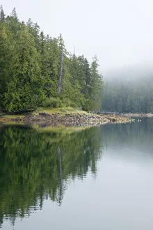 Images Dated 17th August 2010: USA, Alaska, outside of Ketchikan in Southeast