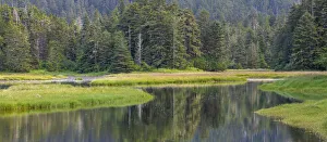 High Tide Prints: USA, Alaska. Panoramic of meadow at high tide in Tongass National Forest