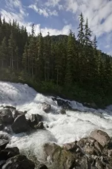 USA, Alaska, Port Snettisham, River swollen with snow melt roars down rapids in rainforest