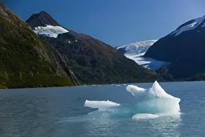 Turnagain Arm Prints: USA-ALASKA-PORTAGE GLACIER: Ice Floes by Portage Glacier at the end of Turnagain