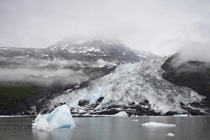 Images Dated 22nd June 2008: USA, Alaska, Prince William Sound, Blue ice face of Coxe Glacier in College Fjord