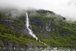 USA, Alaska, Prince William Sound, Waterfall in rainforest along Harriman Fiord