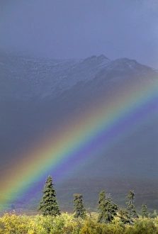 Images Dated 12th December 2012: USA, Alaska, Rainbow, Tundra, Fall, Denali National Park