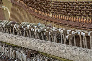USA, Alaska, Sitka. Discarded Lindeman and Sons piano close-up