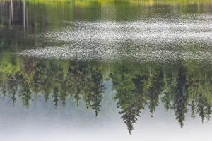 USA, Alaska, Sitka. Forest reflection in Swan Lake. Credit as