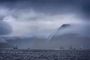 Savanah Plank Prints: USA, Alaska, Sitka Sound, salmon seiners