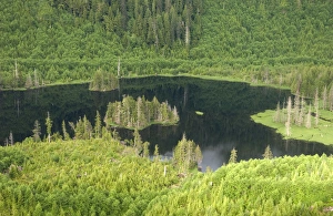 Images Dated 22nd July 2010: USA, Alaska, Southeast, aerial near Ketchikan
