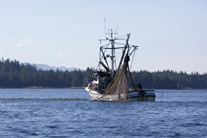 Images Dated 21st August 2010: USA, Alaska, Southeast near Ketchikan, seine boats salmon fishing