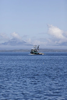 Savanah Stewart Prints: USA, Alaska, Southeast near Ketchikan, seine boats salmon fishing