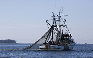 USA, Alaska, Southeast near Ketchikan, seine boats salmon fishing
