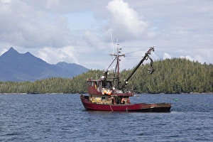 Images Dated 21st August 2010: USA, Alaska, Southeast near Ketchikan, seine boats salmon fishing
