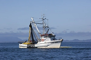 USA, Alaska, Southeast near Ketchikan, seine boats salmon fishing