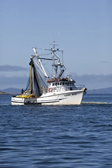 Images Dated 21st August 2010: USA, Alaska, Southeast near Ketchikan, seine boats salmon fishing
