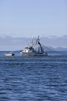 USA, Alaska, Southeast near Ketchikan, seine boats salmon fishing