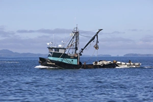Images Dated 21st August 2010: USA, Alaska, Southeast near Ketchikan, seine boats salmon fishing
