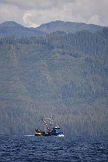 Images Dated 15th August 2015: USA, Alaska, Southeast north of Ketchikan, seine fishing boat