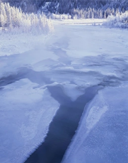 Images Dated 29th December 2011: USA, Alaska, Sunrise, Winter, Nenana River, Denali National Park