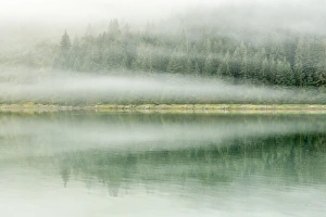 USA, Alaska, Tongass National Forest. Foggy shoreline and water reflection. Credit as