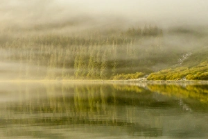 USA, Alaska, Tongass National Forest. Endicott Arm in fog