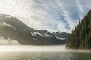 USA, Alaska, Tongass National Forest. Endicott Arm in fog