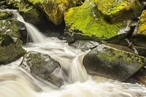 USA, Alaska, Tongass National Forest. Anan Creek scenic