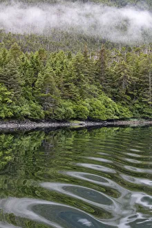 Images Dated 3rd April 2020: USA, Alaska, Tongass National Forest. Boat wake ripples in Mirror Harbor