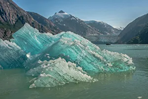 Inlet Prints: USA, Alaska, Tongass National Forest. Icebergs in Endicott Arm inlet