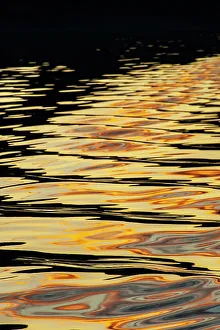 Images Dated 1st June 2023: USA, Alaska, Tongass National Forest. Sunset reflections on inlet water