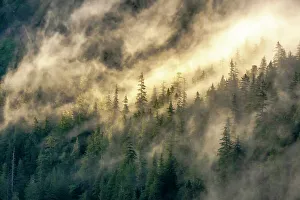 Baranof Island Prints: USA, Alaska, Tongass National Forest. Fog on mountain forest