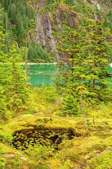 Images Dated 1st June 2023: USA, Alaska, Tongass National Forest. Landscape with pond, inlet, and mountain