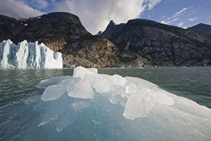 Images Dated 26th August 2007: USA, Alaska, Tongass National Forest, Tracy Arm - Fords Terror Wilderness, Setting