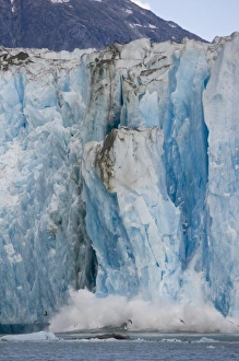 Images Dated 26th August 2007: USA, Alaska, Tongass National Forest, Tracy Arm - Fords Terror Wilderness, Massive