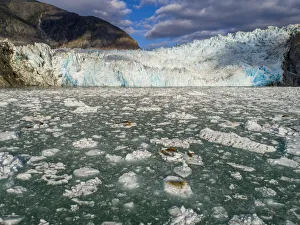 Images Dated 26th October 2018: USA, Alaska, Tracy Arm-Fords Terror Wilderness, Overhead aerial view of Harbor Seals