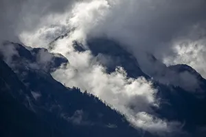 Images Dated 30th October 2018: USA, Alaska, Tracy Arm-Fords Terror Wilderness, Morning sun lights mist swirling in
