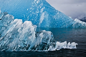 Images Dated 12th July 2010: USA, Alaska, Tracy Arm-Fords Terror Wilderness, Deep blue glacial iceberg floating