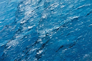 Images Dated 3rd August 2010: USA, Alaska, Tracy Arm-Fords Terror Wilderness, Deep blue iceberg from Dawes Glacier
